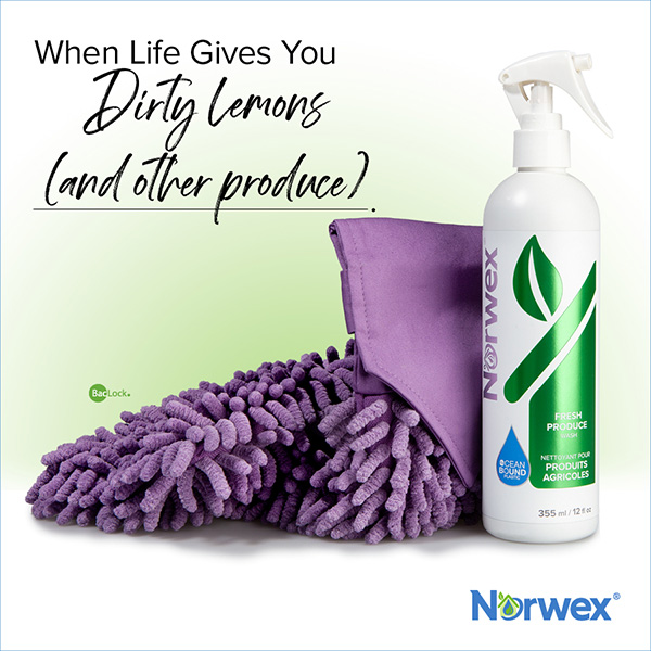 Norwex, clean chemical company, social media, social media advertisement, mobile first design, mobile website, responsive